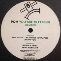 Vinilo 12" PQM - You Are Sleeping Remixes (12", RE, RM)