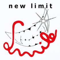Vinyl 12" New Limit - Smile