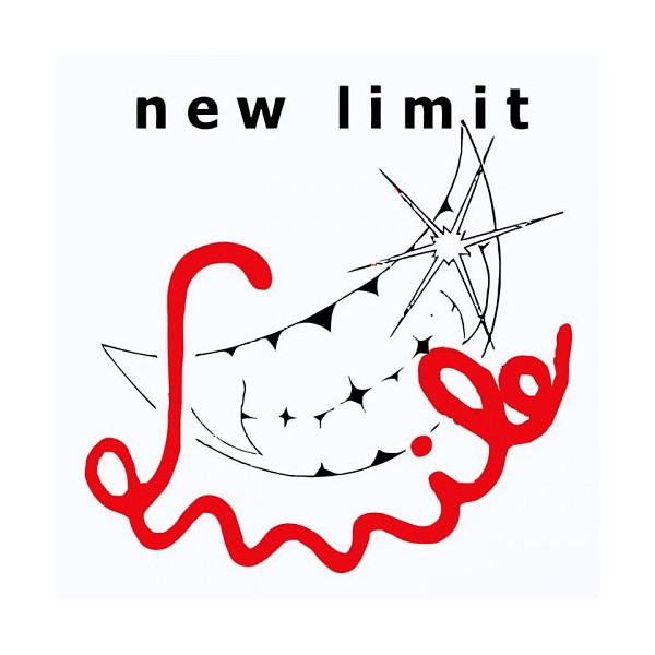 Vinyl 12" New Limit - Smile