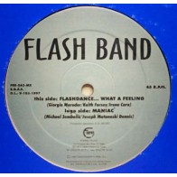 Vinyl 12" Flash Band - Maniac