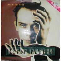 Vinyl 12" Peter Murphy - All Night Long