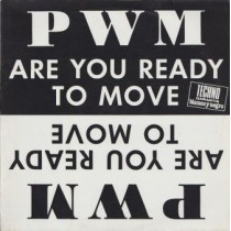 Vinyl 12" P.W.M. - Are You Ready To Move