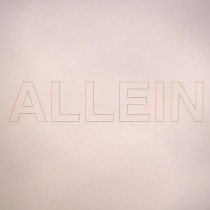 Vinyl 12" Quarks - ALLEIN