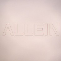 Vinyl 12" Quarks - ALLEIN